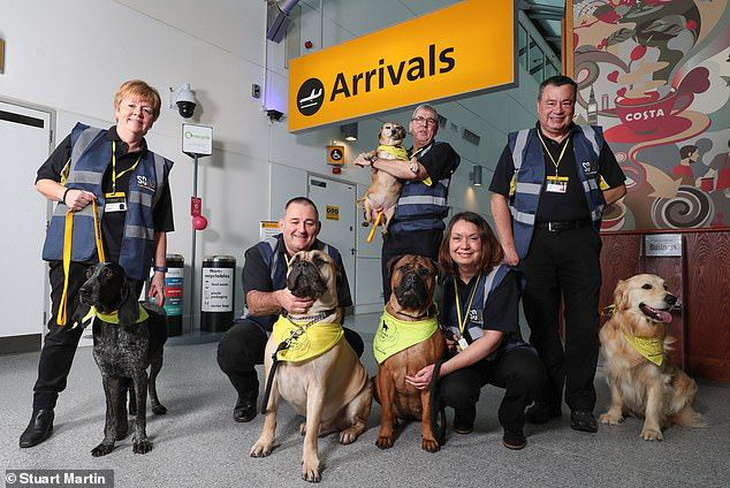 Sân bay Anh sử dụng chó 'trị liệu' giúp hành khách vui vẻ