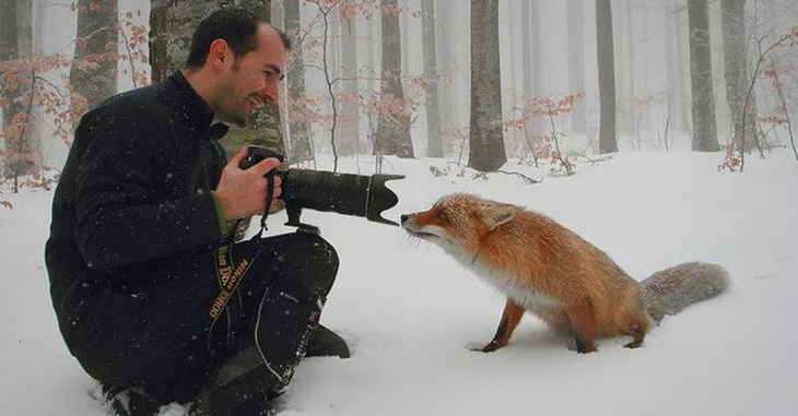 Khi nhiếp ảnh gia bị động vật hoang dã 