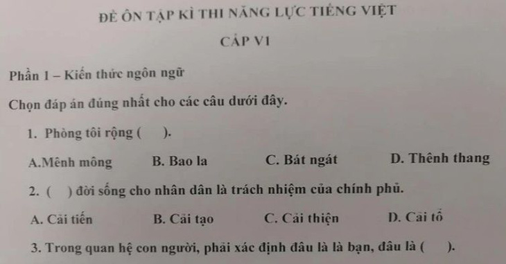 Đề thi năng lực tiếng Việt "hại não" cho học sinh Nhật