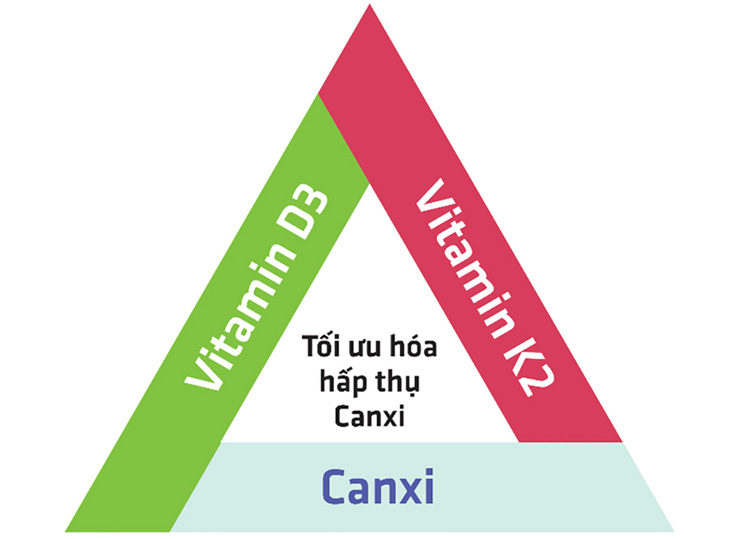 Vitamin K2 từ góc nhìn của chuyên gia - Ảnh 2.