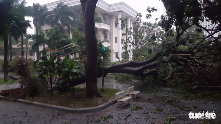 Tâm bão số 12 đổ bộ đất liền, gió cấp 11 tại Nha Trang, Tuy Hòa mất điện - Ảnh 10.