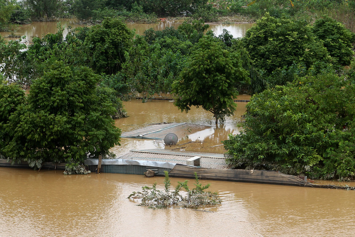 Nước lũ nhấn chìm nhà cửa, vườn tược vùng bãi sông Hồng - Ảnh 2.