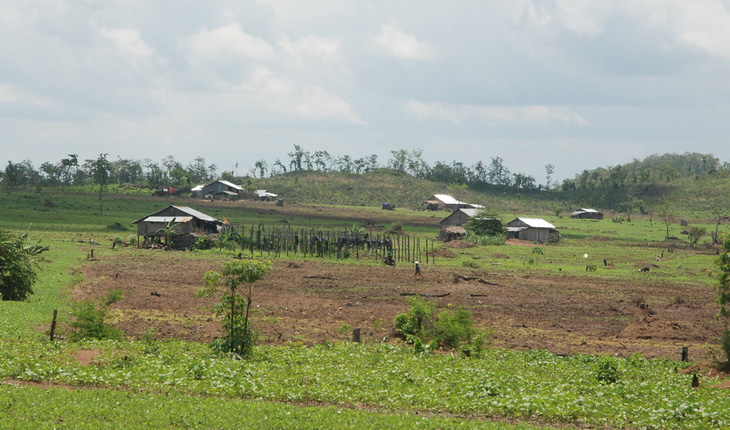 Sống... lậu ở Tây Nguyên - Ảnh 3.