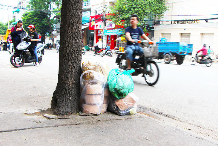 Những bồn cây xanh khốn khổ - Ảnh 11.