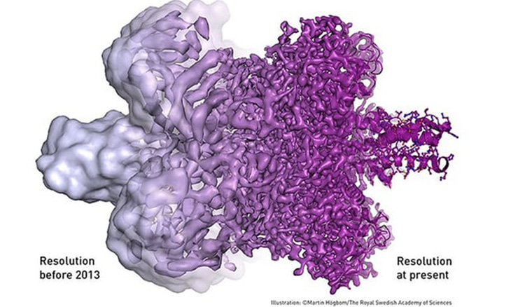 Công trình đoạt Nobel Hóa học giúp mục sở thị virus Zika - Ảnh 3.