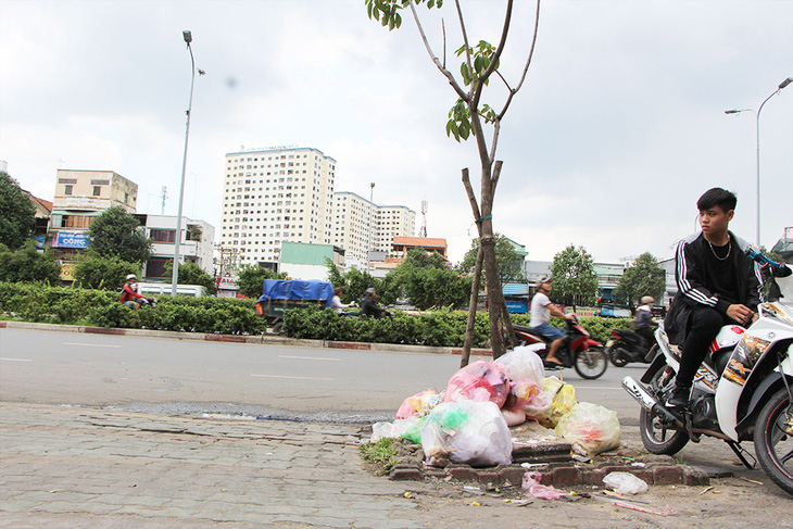 Những bồn cây xanh khốn khổ - Ảnh 5.