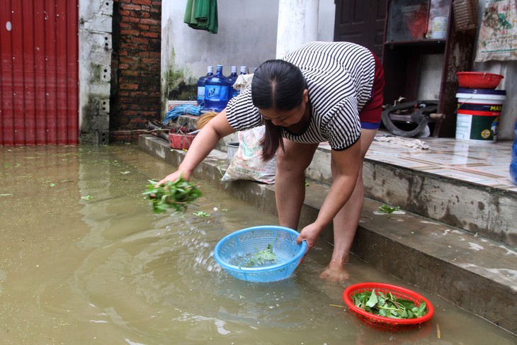 Nhiều đường làng ở huyện Chương Mỹ vẫn là dòng sông - Ảnh 12.