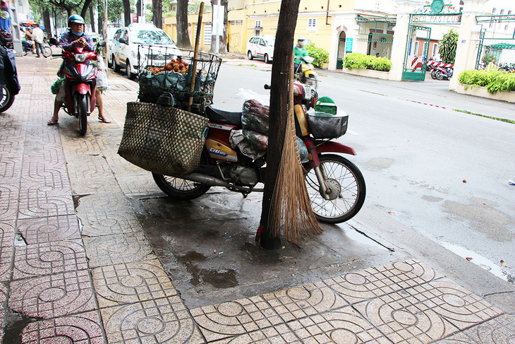 Những bồn cây xanh khốn khổ - Ảnh 9.