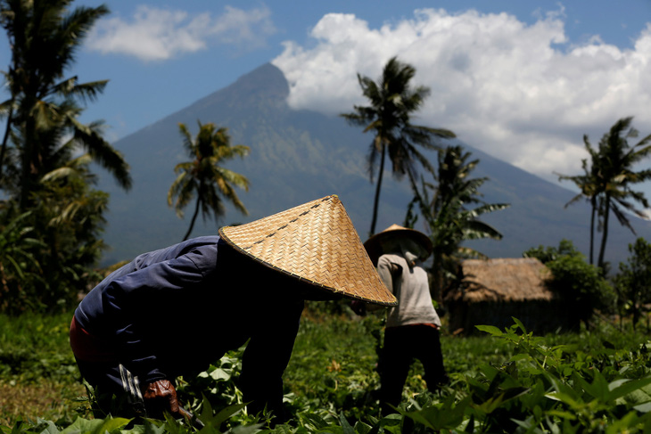 Bali hồi hộp chờ núi lửa phun trào - Ảnh 11.