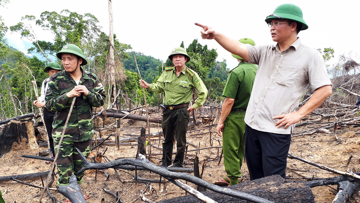 Cận cảnh vụ phá rừng phòng hộ quy mô lớn ở Quảng Nam - Ảnh 1.