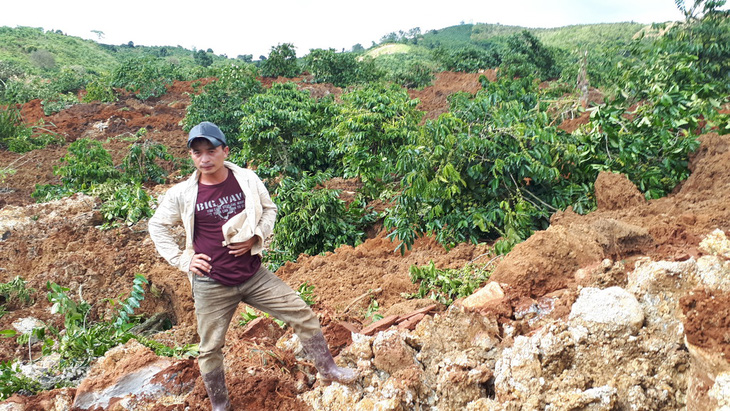 Sụt lở đất nghiêm trọng, chôn vùi 10ha cà phê ở Lâm Đồng - Ảnh 1.