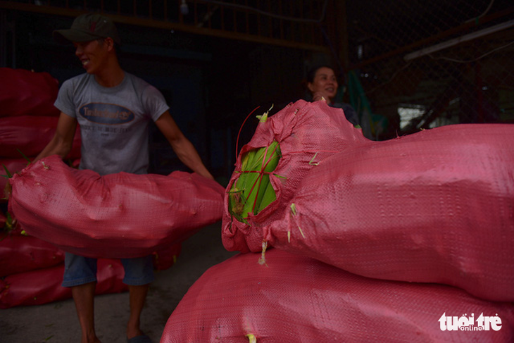 Tấp nập kẻ mua người bán tại chợ bắp lớn nhất Sài Gòn - Ảnh 12.