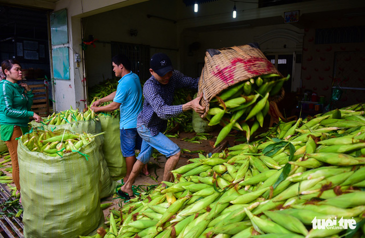 Tấp nập kẻ mua người bán tại chợ bắp lớn nhất Sài Gòn - Ảnh 15.