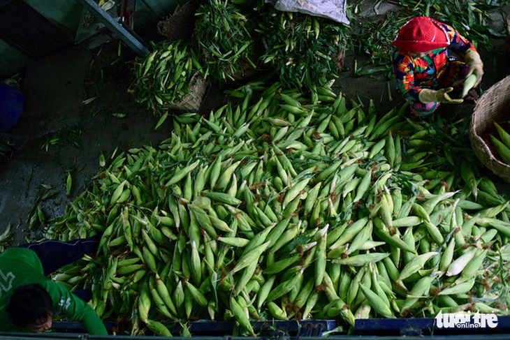Tấp nập kẻ mua người bán tại chợ bắp lớn nhất Sài Gòn - Ảnh 3.