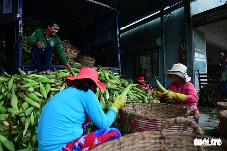 Tấp nập kẻ mua người bán tại chợ bắp lớn nhất Sài Gòn - Ảnh 5.