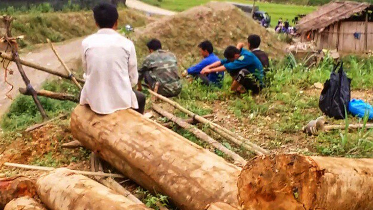 Kỷ luật khiển trách kiểm lâm để mất rừng ở Lào Cai, Yên Bái - Ảnh 1.