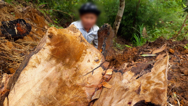 Kỷ luật khiển trách kiểm lâm để mất rừng ở Lào Cai, Yên Bái - Ảnh 4.