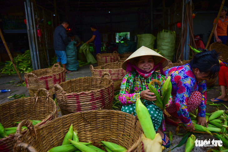 Tấp nập kẻ mua người bán tại chợ bắp lớn nhất Sài Gòn - Ảnh 7.