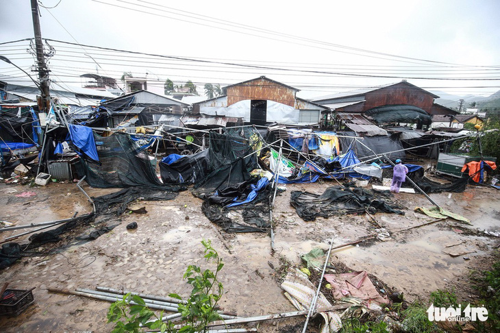 Liên Hiệp Quốc hỗ trợ hơn 4 triệu USD khắc phục hậu quả bão 12 - Ảnh 1.