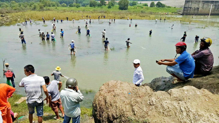 Thủy điện ngưng xả lũ, dân bắt hàng tấn cá khủng - Ảnh 1.