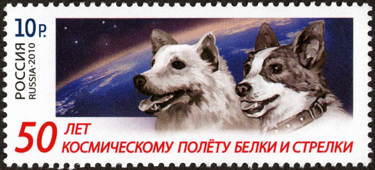 60 năm trước, chó Laika bay vào vũ trụ - Ảnh 2.