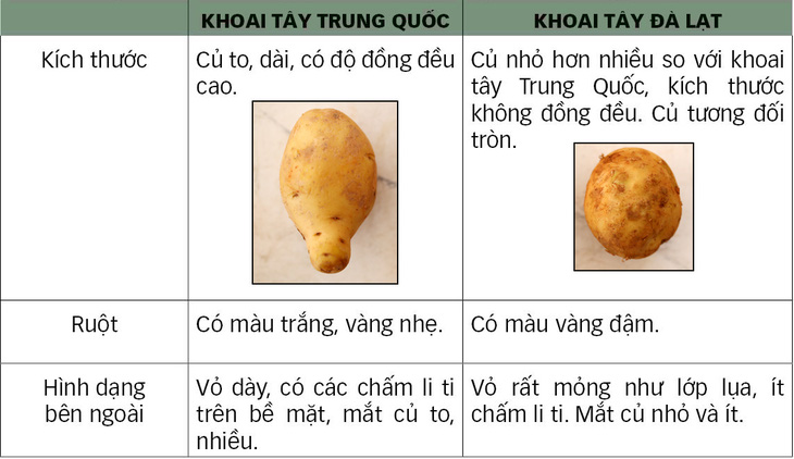 Thâm nhập “xưởng” làm giả khoai tây Trung Quốc thành Đà Lạt - Ảnh 4.