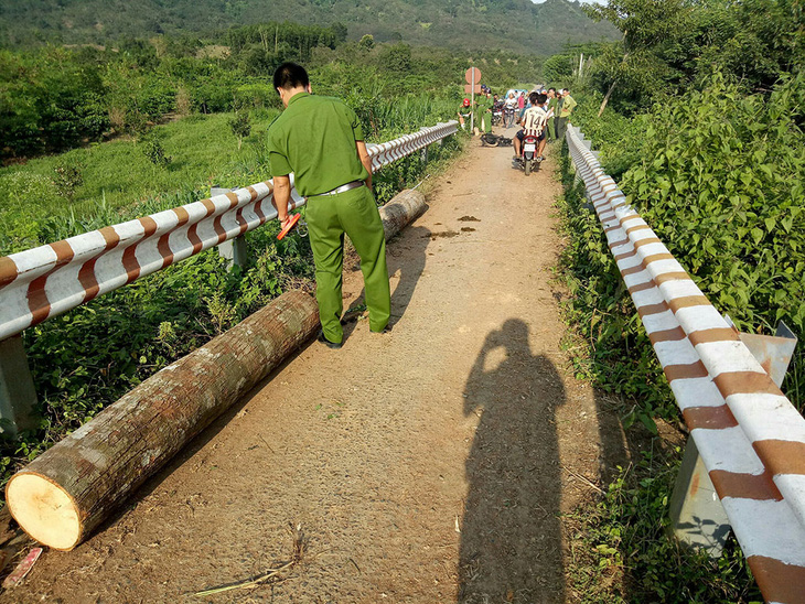 Bị phát hiện chở gỗ lậu, lâm tặc tự đốt xe tẩu thoát - Ảnh 2.