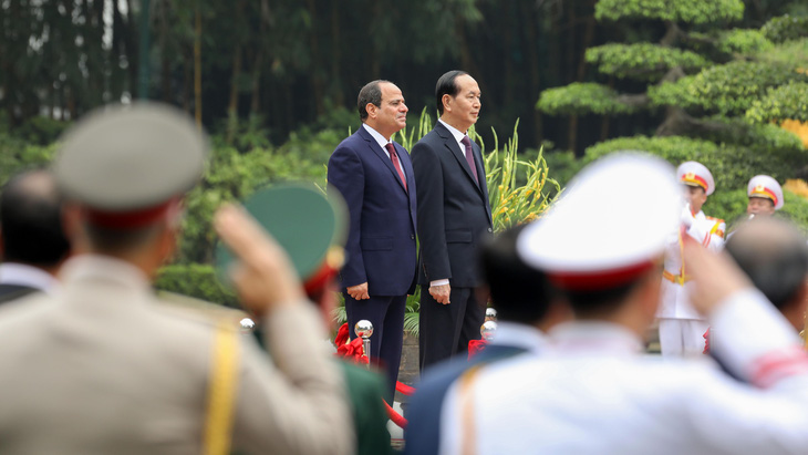 Chủ tịch nước Trần Đại Quang tiếp đón Tổng thống Ai Cập - Ảnh 4.