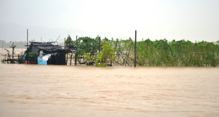 Vào vùng rốn lũ Đại Lộc, hơn 4.000 nhà ngập sâu hơn 1m - Ảnh 6.