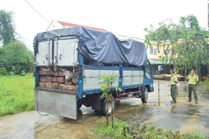 Bắt xe tải ngụy trang phân gà để giấu gỗ quý - Ảnh 2.