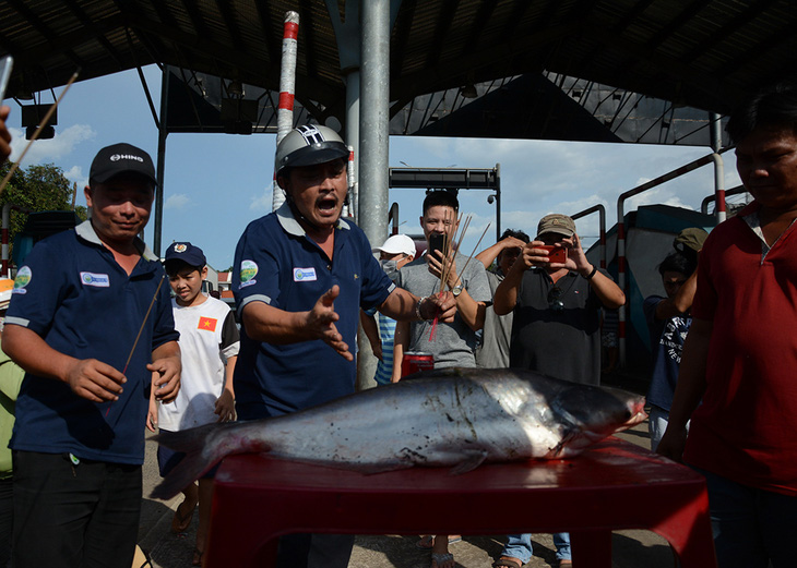 Mang cá tra ra cúng trạm BOT Biên Hòa - Ảnh 3.