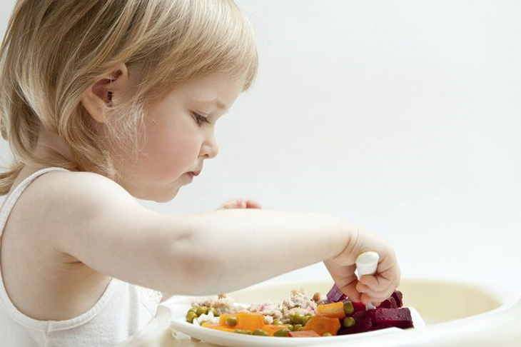 Dinh dưỡng và sự phát triển trí não của trẻ em - Ảnh 1.