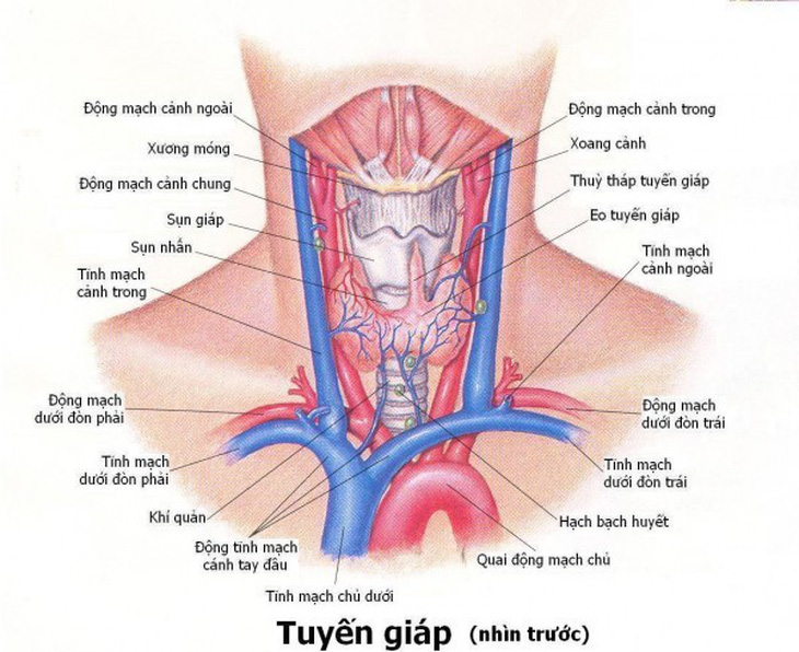 Những bệnh thường gặp của tuyến giáp - Ảnh 1.