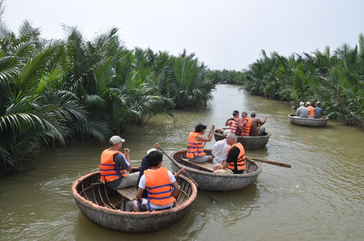 Quảng Nam đầu tư 25,5 tỷ đồng phục hồi rừng dừa nước - Ảnh 1.
