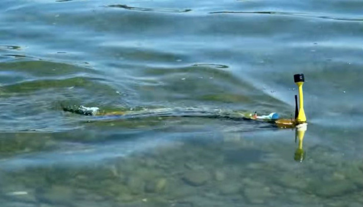 Robot lươn phát hiện ô nhiễm nước - Ảnh 1.