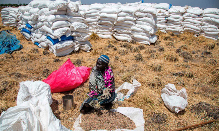 FAO quan ngại về vấn đề an ninh lương thực tại khu vực châu Phi