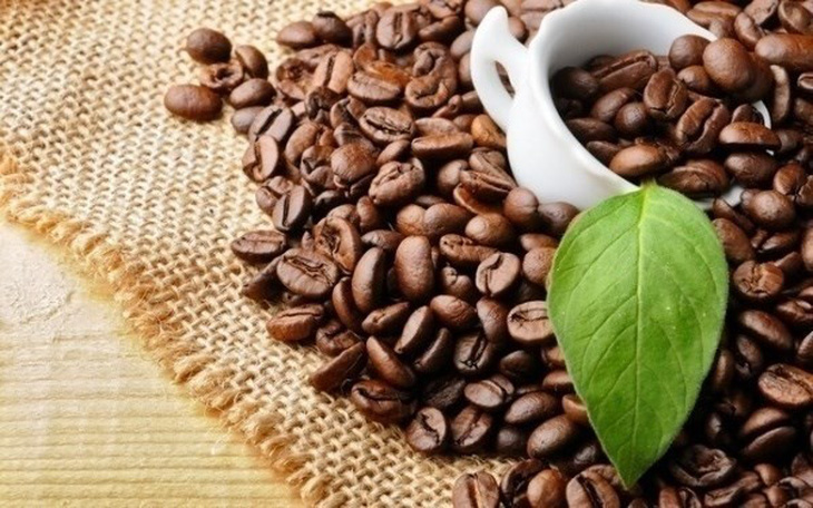 Đầu tư 170 tỷ đồng phát triển cà phê chất lượng cao - Ảnh 1.