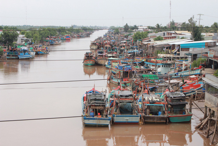 Cưỡng chế tàu cá, đưa vào nơi trú ẩn an toàn - Ảnh 7.