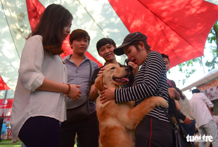 Xem cún cưng tranh tài trong Dog show 2017 tại Sài Gòn - Ảnh 2.
