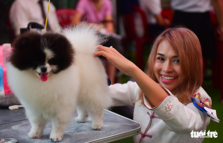 Xem cún cưng tranh tài trong Dog show 2017 tại Sài Gòn - Ảnh 5.
