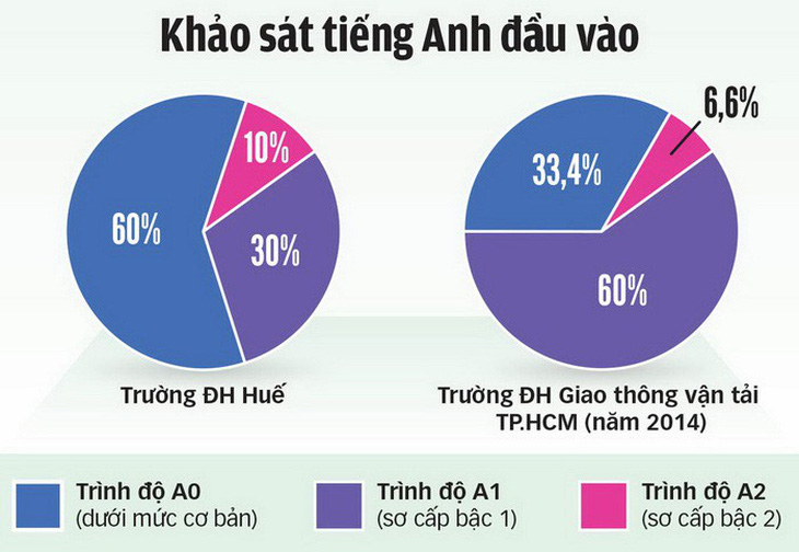 Sinh viên không đạt chuẩn B1 ngoại ngữ, tính sao đây? - Ảnh 2.