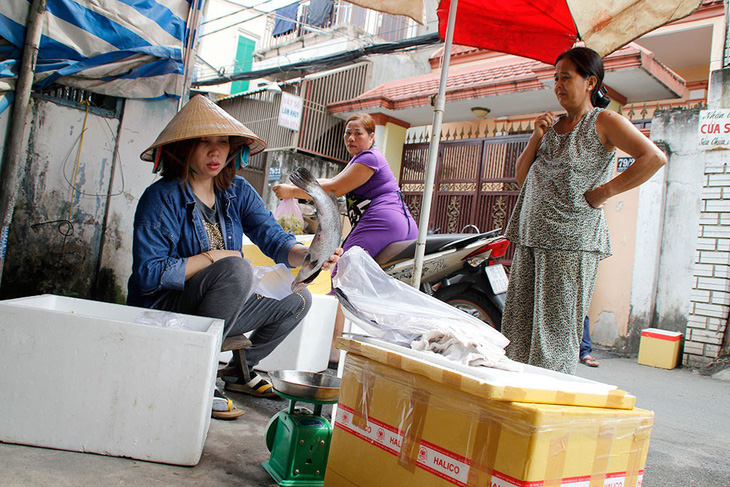 Tôm hùm chạy bão ra phố, người nuôi vừa khóc vừa bán - Ảnh 2.