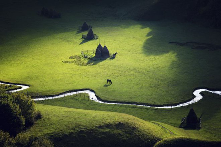 Thiên nhiên vừa gần vừa xa trong cuộc thi ảnh National Geographic - Ảnh 5.