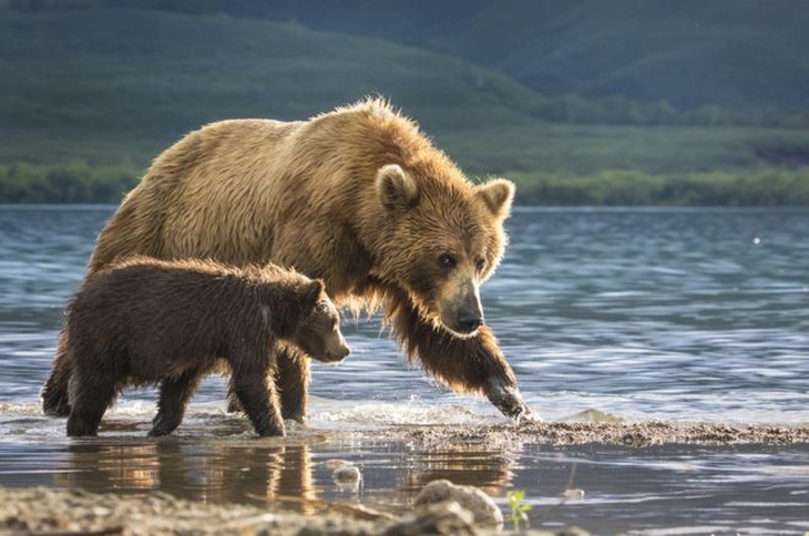 Thiên nhiên vừa gần vừa xa trong cuộc thi ảnh National Geographic - Ảnh 6.