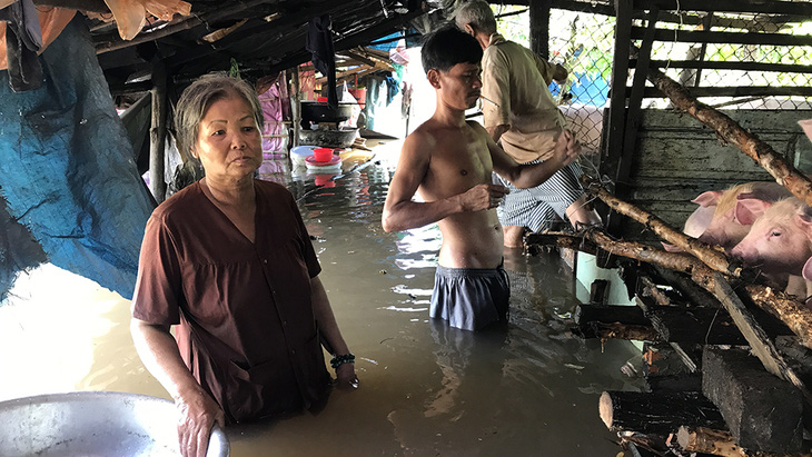 Triều cường gây vỡ bờ, nhiều hộ dân Cần Thơ mất trắng - Ảnh 6.