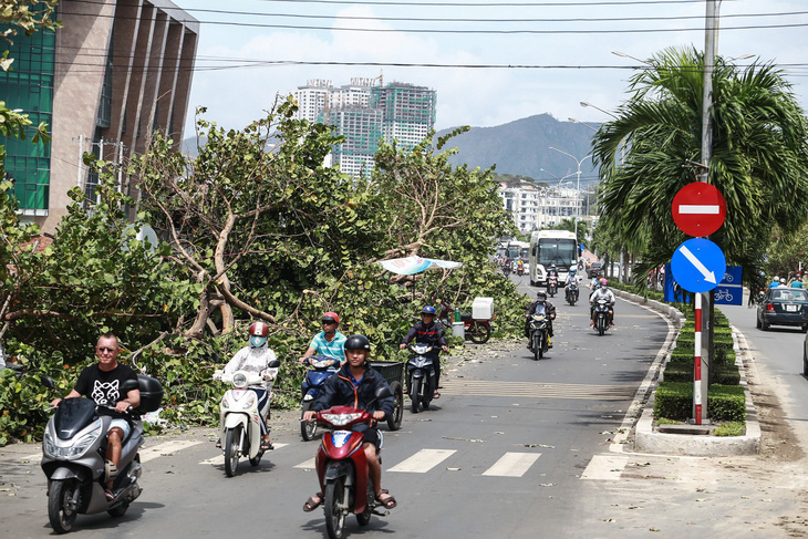 Nha Trang lấy lại nhịp sống thường ngày sau bão - Ảnh 8.