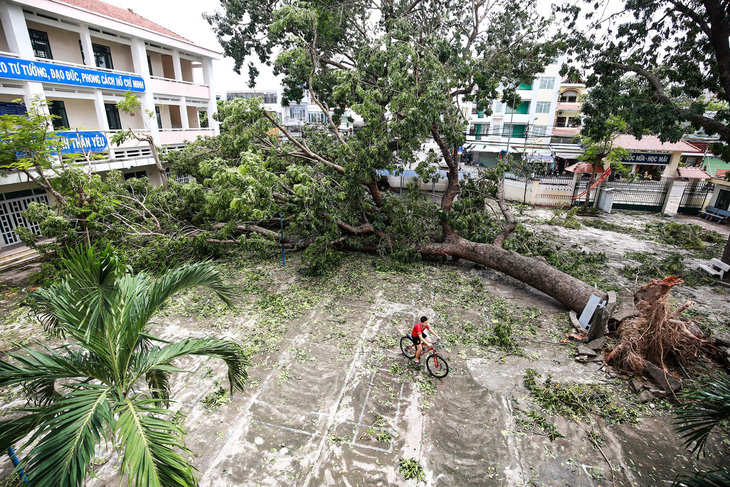 Nha Trang lấy lại nhịp sống thường ngày sau bão - Ảnh 3.