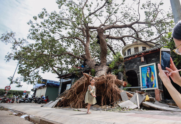 Nha Trang lấy lại nhịp sống thường ngày sau bão - Ảnh 2.