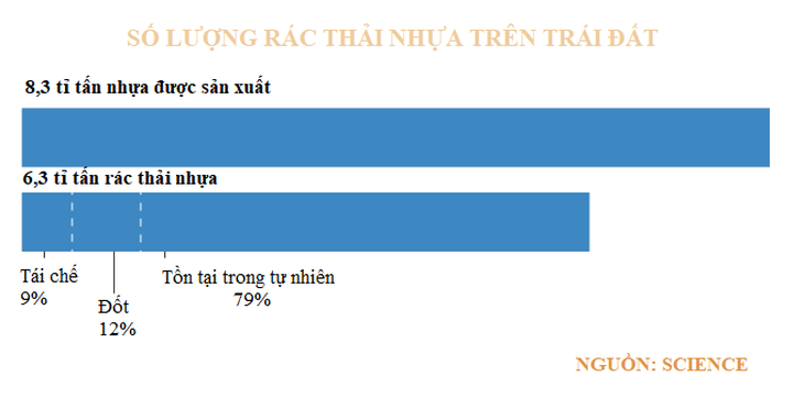 Con số khủng hoảng về rác thải nhựa trên trái đất - Ảnh 2.