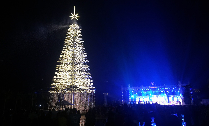 Cây thông cao nhất Việt Nam bừng sáng dịp Noel - Ảnh 1.